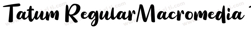 Tatum RegularMacromedia Fontographe字体转换